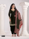 Aanaya Vol 231 By Dani Creation Designer Chanderi Silk Salwar Suit Exporters In India